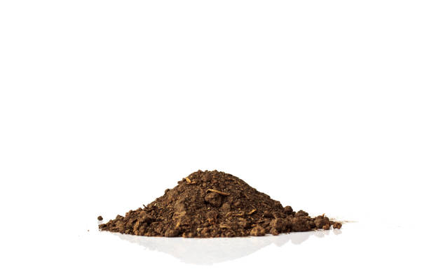 Pile of soil on white background stock photo