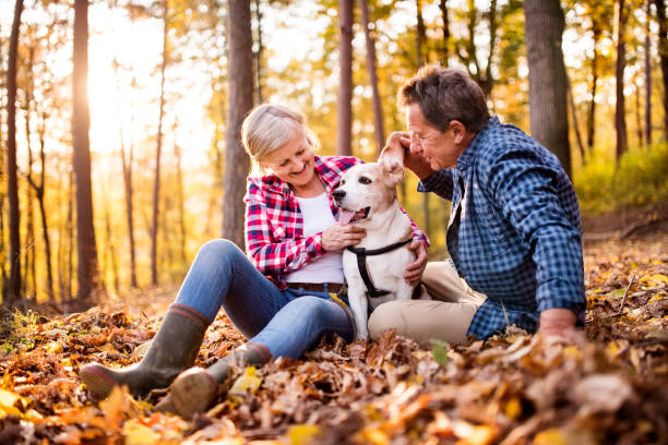 istock Senior couple with dog on a walk in an autumn forest. 877020004