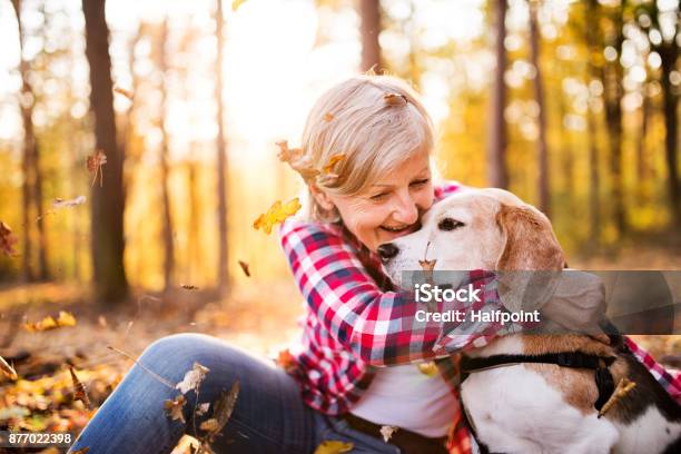 Senior Woman With Dog On A Walk In An Autumn Forest Stock Photo - Download Image Now