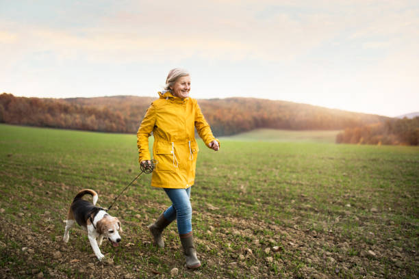 donna anziana con cane in una passeggiata in una natura autunnale. - hiking senior adult exercising outdoors foto e immagini stock