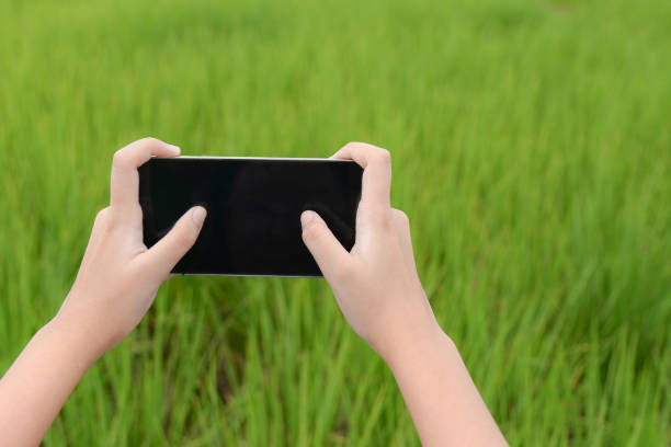 istock Woman hand holding smartphone against spring green background 877030168