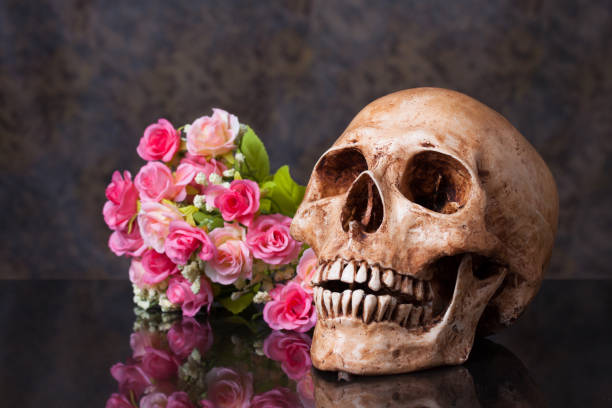 istock Group of objects on a granite, artificial flower, human skull  ,Still life 877030290
