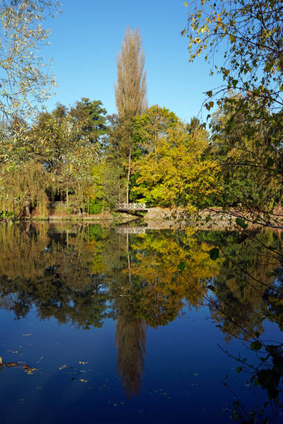 istock Oise river in autumn season 877031204