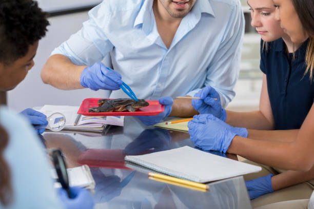 Teacher prepares students to dissect a frog