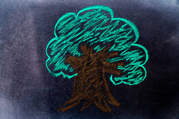 Color chalk drawing in tree shape on black board background