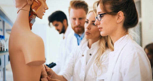 istock Students of medicine examining anatomical model in classroom 877037656