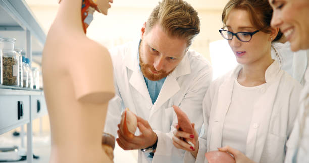 istock Students of medicine examining anatomical model in classroom 877037996