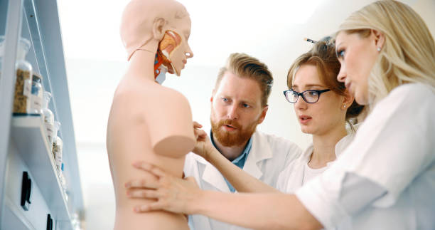 istock Students of medicine examining anatomical model in classroom 877038118