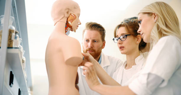 istock Students of medicine examining anatomical model in classroom 877038154