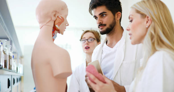 istock Students of medicine examining anatomical model in classroom 877038204