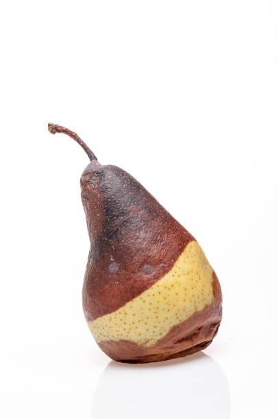istock Wrinkled and rotten brown pear isolated 877038518