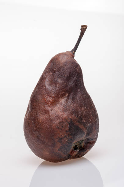 istock Wrinkled and rotten brown pear isolated 877042140