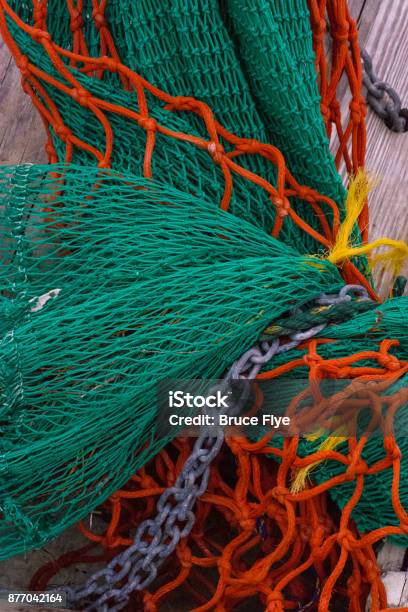 Shrimp Nets Stock Photo - Download Image Now - Fishing Industry, Green Color, Mesh - Textile