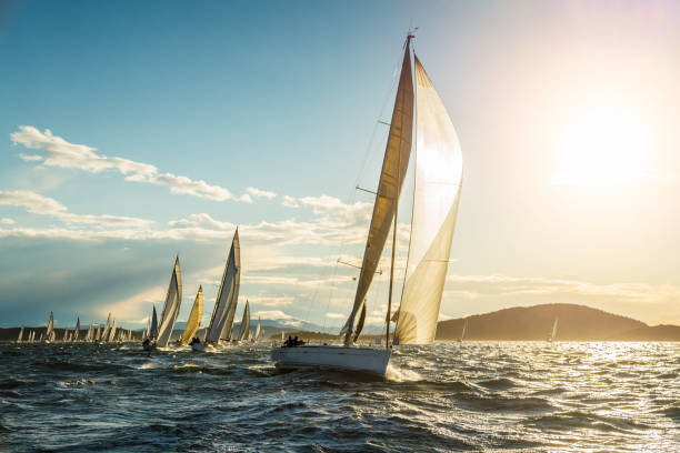 velero de regata en la soleada mañana de otoño - sailboat race fotografías e imágenes de stock