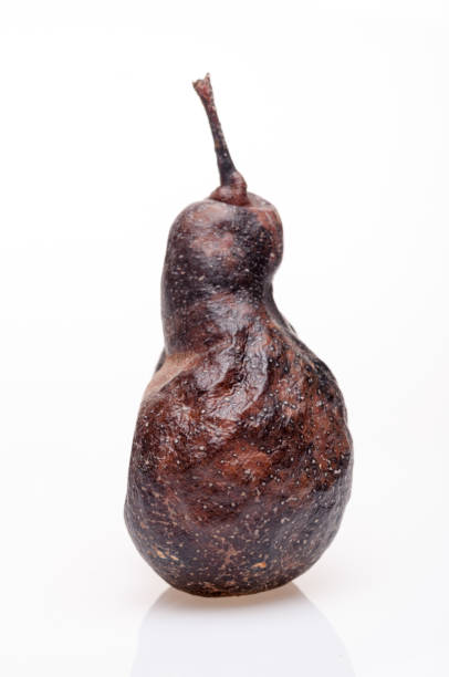 istock Wrinkled and rotten brown pear isolated 877043406