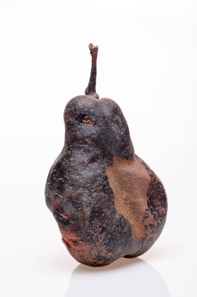 istock Wrinkled and rotten brown pear isolated 877043706