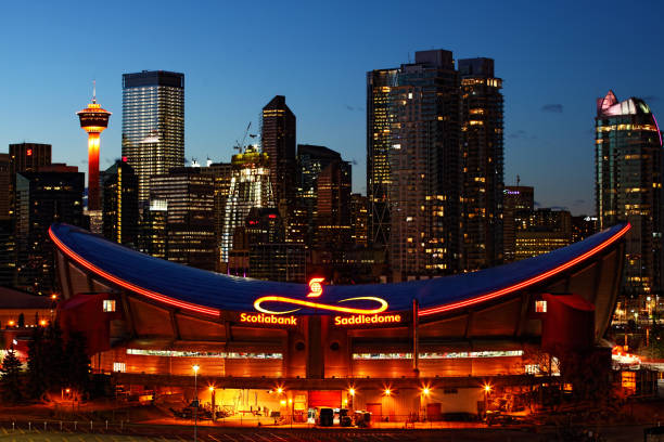 visão noturna de saddledome em calgary, canadá - scotiabank saddledome - fotografias e filmes do acervo