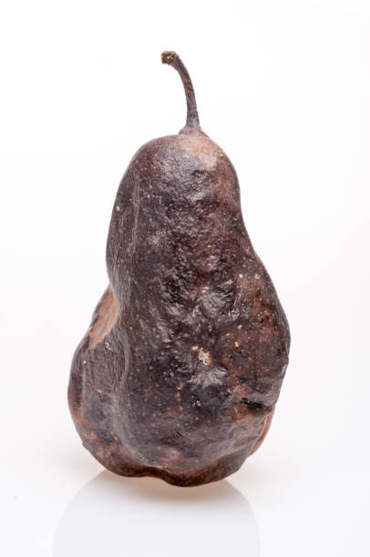 istock Wrinkled and rotten brown pear isolated 877053058