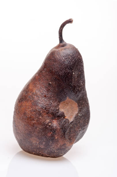 istock Wrinkled and rotten brown pear isolated 877053128