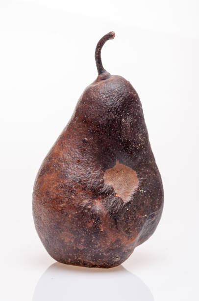 istock Wrinkled and rotten brown pear isolated 877053210