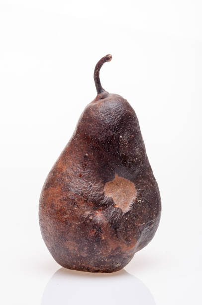 istock Wrinkled and rotten brown pear isolated 877053260