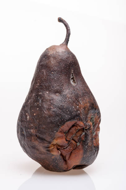 istock Wrinkled and rotten brown pear isolated 877053496