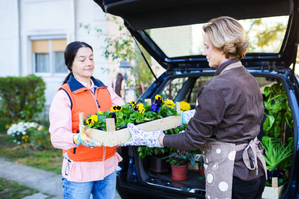 istock Women care for flovers in home yard 877053894
