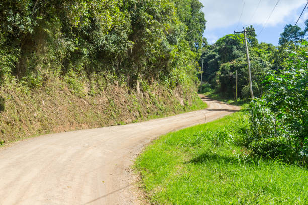 istock Farm road in Valley and mountains in Nova Petropolis 877056646