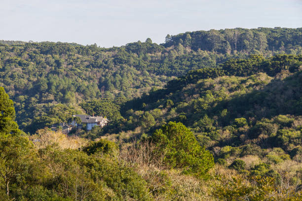 istock Forest,mountains and Farms in Gramado 877057056