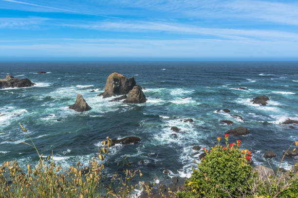 istock The coast along Fort Bragg, California 877060748