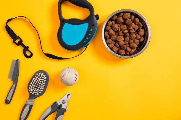 istock Dog accessories on yellow background. Top view. Pets and animals concept 877061024