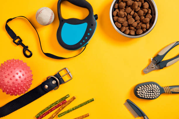 istock Dog accessories on yellow background. Top view. Pets and animals concept 877061338