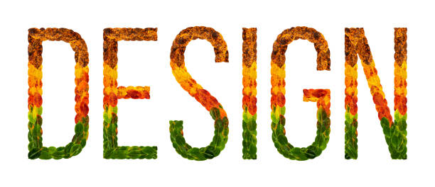 design word is written with leaves white isolated background, banner for printing, creative illustration design colored leaves.