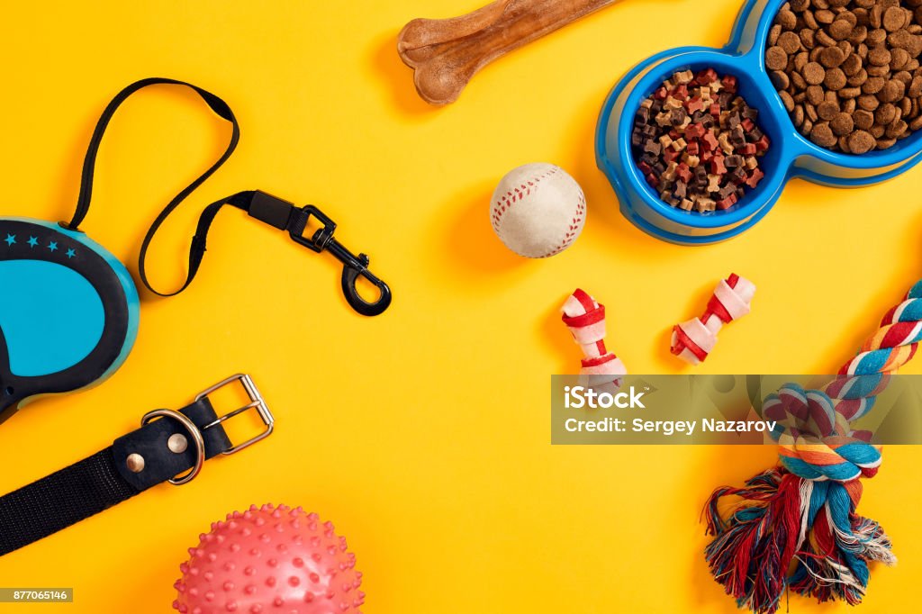 Dog accessories on yellow background. Top view. Pets and animals concept Dog accessories on yellow background. Top view. Pets and animals concept. Still life. Copy space. Flat lay Pet Shop Stock Photo