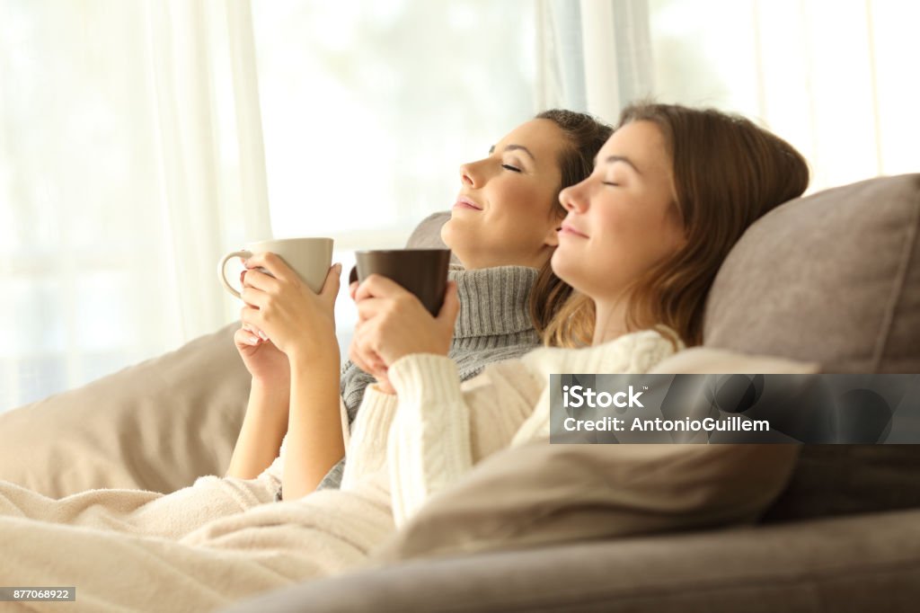 Relaxed roommates in winter at home Two relaxed roommates in winter sitting on a sofa in the living room of a house interior Family Stock Photo