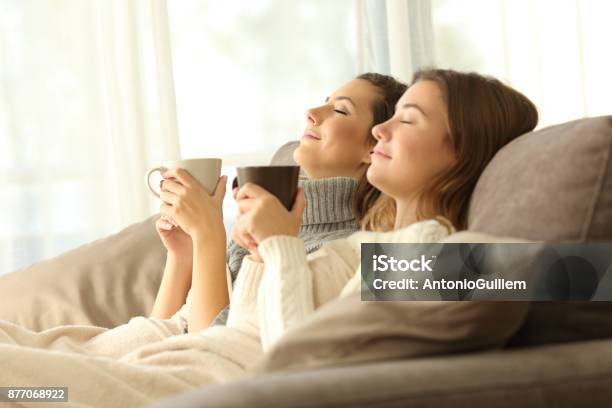 Relaxed Roommates In Winter At Home Stock Photo - Download Image Now - Family, Winter, Friendship