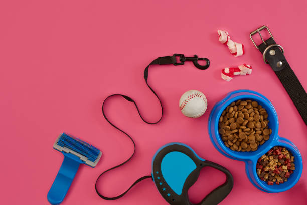 istock Dog accessories on pink background. Top view. Pets and animals concept 877069572