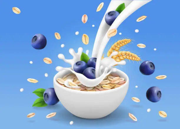 Vector illustration of Oatmeal advertising and blueberry, milk splashing and berries, Oat flakes illustration