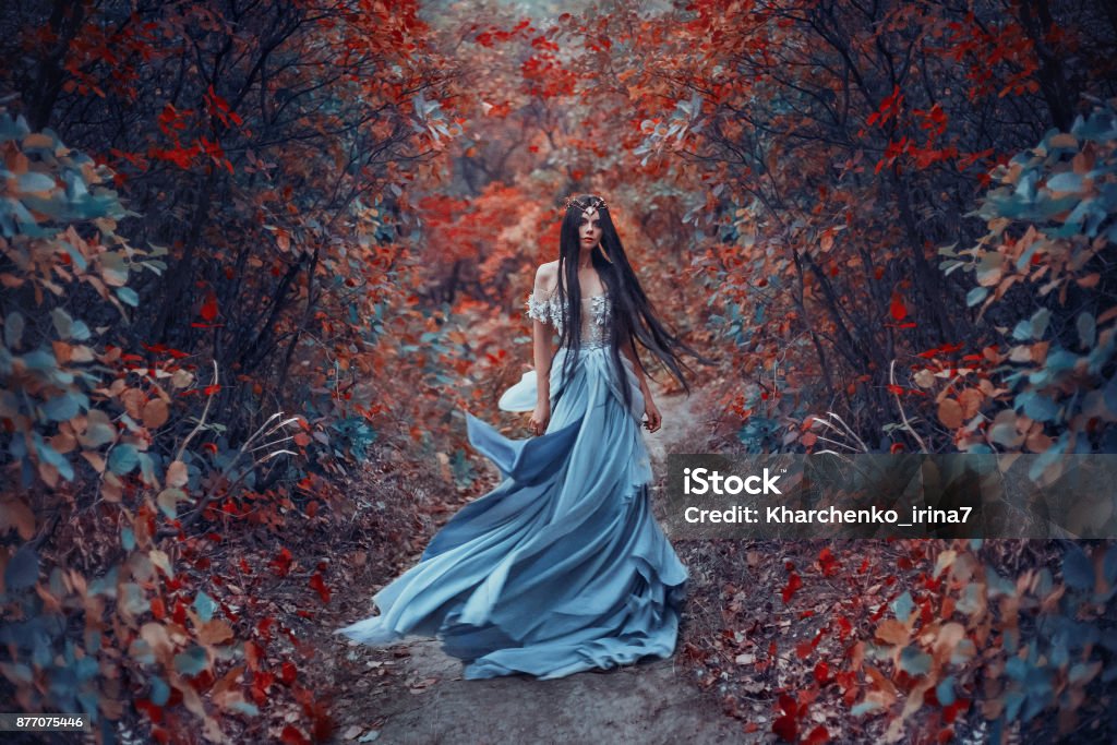 Mysterious sorceress Mysterious sorceress in a beautiful blue dress. Her hair and dress are fluttering in the wind. Background bright, autumn, fiery forest with cold tones. Artistic Photography Fantasy Stock Photo