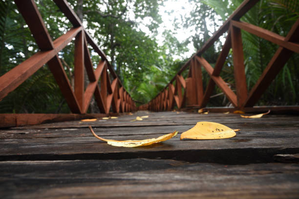 Wooden bridge in the way of Morishdera beach at Diglipur ,Andaman Islands in India ,