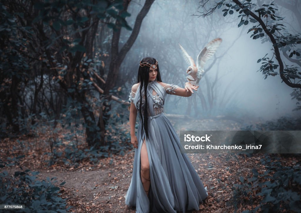 Mysterious sorceress Mysterious sorceress in a beautiful blue dress. The background is a cold forest in the fog. Girl with a white owl. Artistic Photography Witch Stock Photo