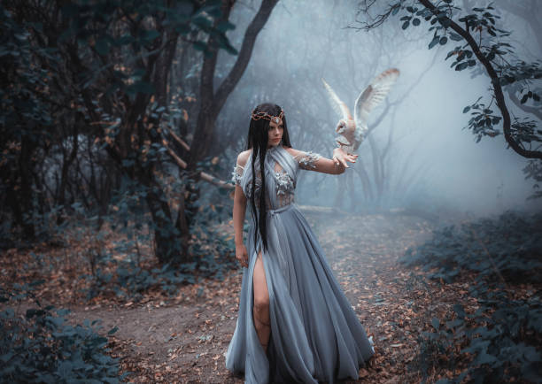 Mysterious sorceress Mysterious sorceress in a beautiful blue dress. The background is a cold forest in the fog. Girl with a white owl. Artistic Photography elf photos stock pictures, royalty-free photos & images