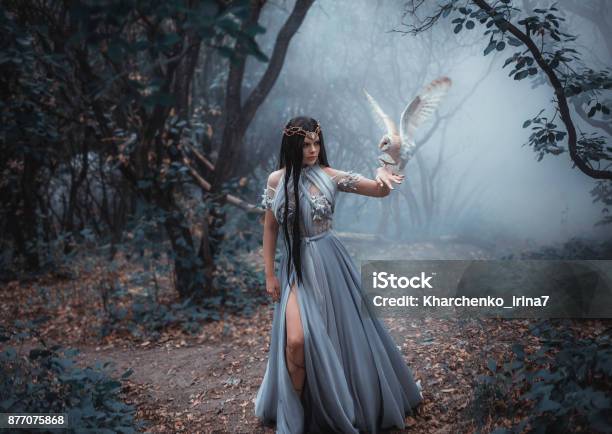 Mysterious Sorceress Stock Photo - Download Image Now - Witch, Women, One Woman Only