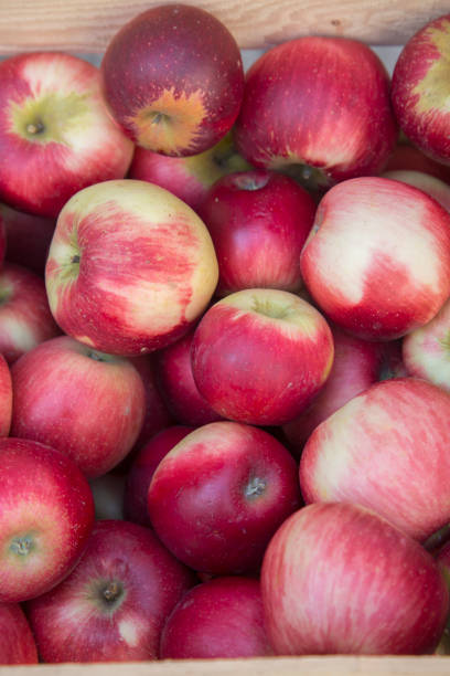 istock Red Apples for sale on Market Stall; Bordeaux 877079700