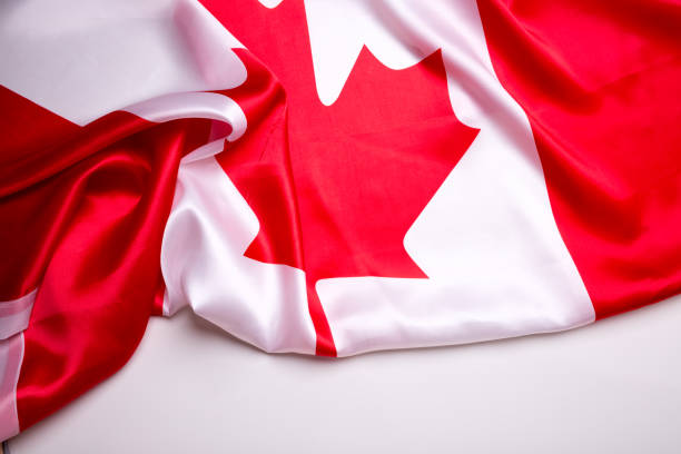 istock Authentic flag of the Canada 877080292