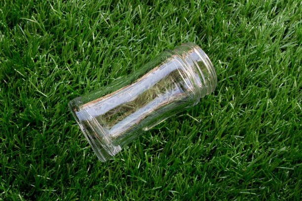 istock Empty transparent glass bottle lay down on the grass 877092214