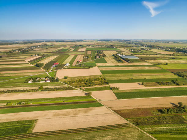 istock Rural landscape, aerial view. Road through the fields. Crop fields, extending to the horizon. 877095064