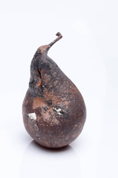 istock Wrinkled and rotten brown pear isolated 877095210