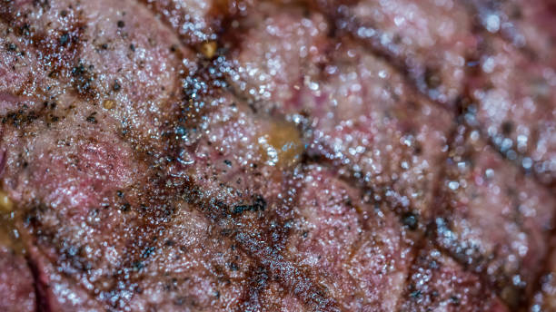 Food Photos