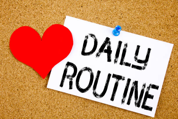 istock Conceptual hand writing text caption inspiration showing Daily Routine concept for Accuracy Procedure and Love written on sticky note, reminder cork background with copy space 877105544